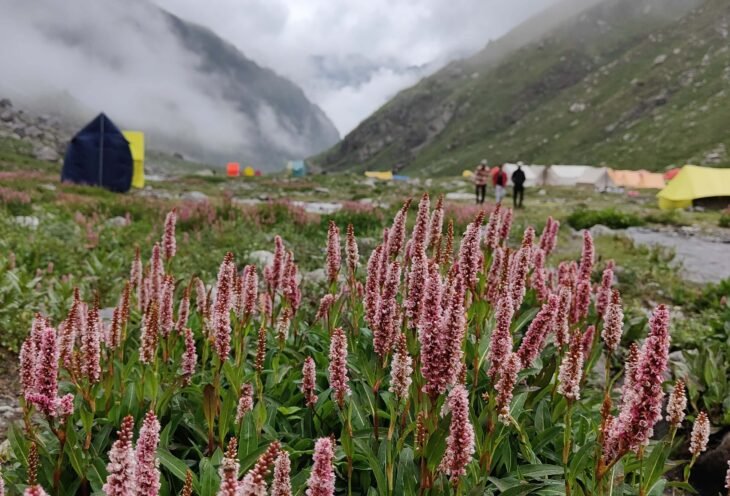 Hampta Pass Trek