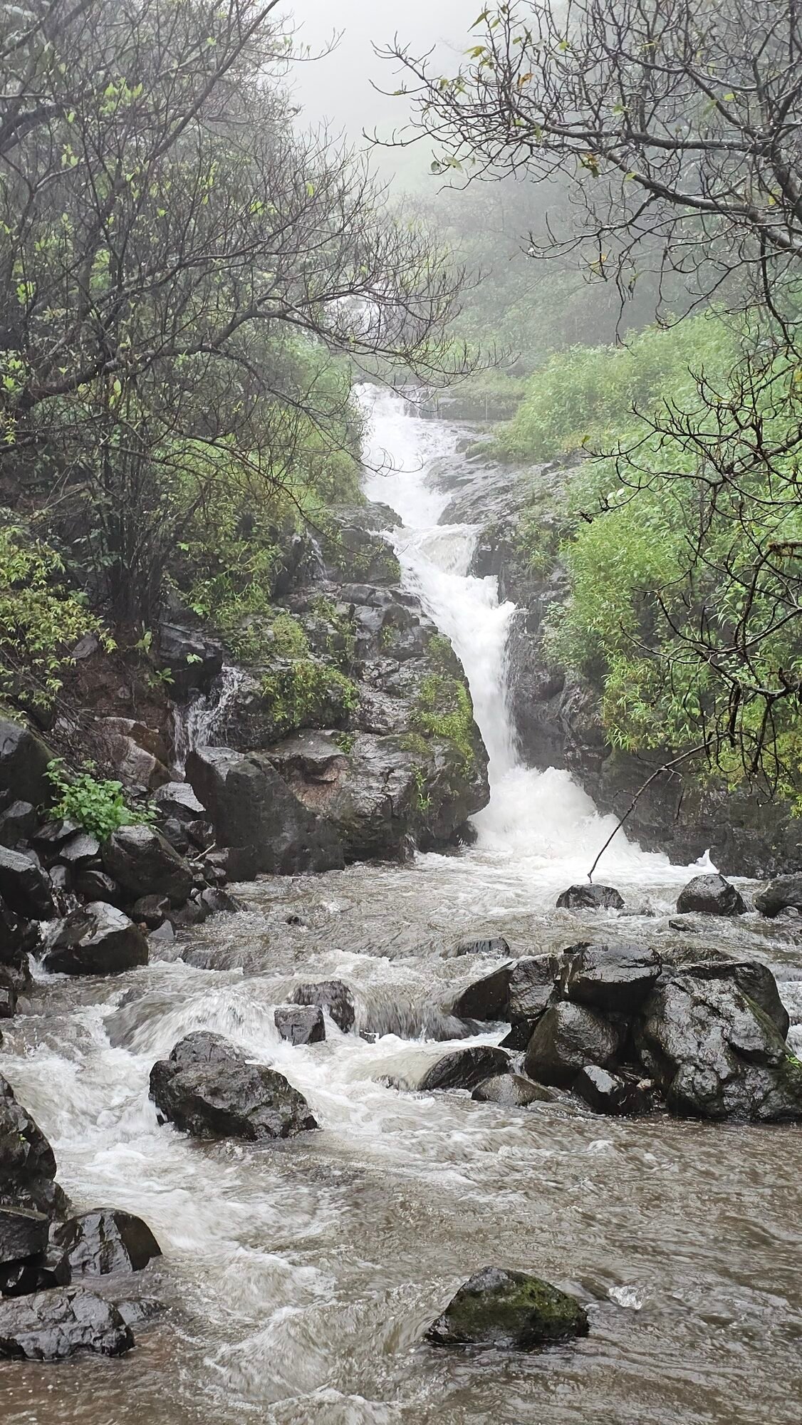 Andharban Trek