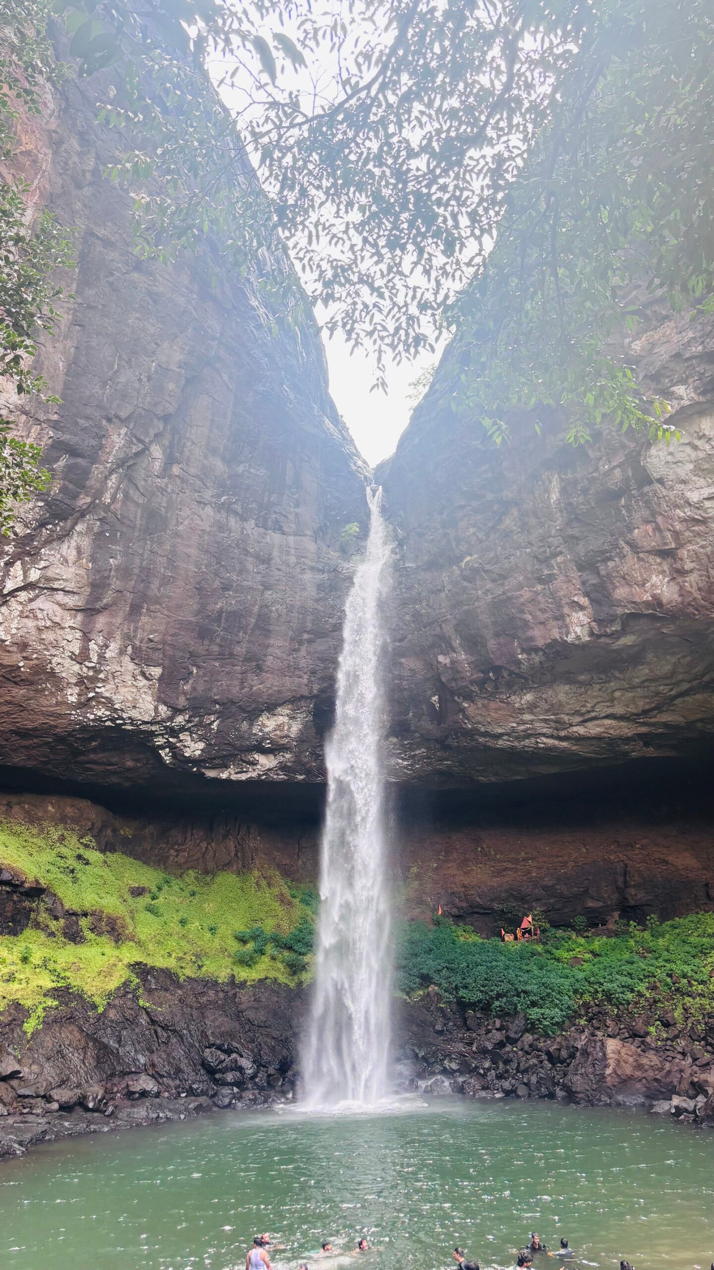 Milkybar Waterfall Trek