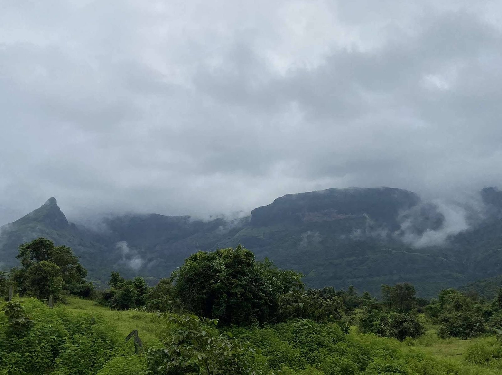 Andrai Trek