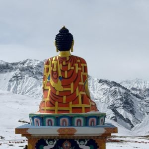 WhatsApp Image 2026-02-23 at 2.40.59 PM