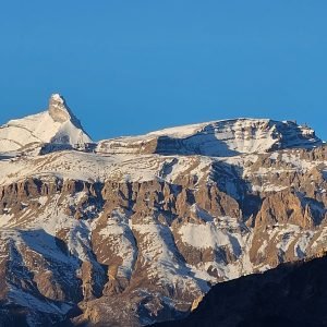 WhatsApp Image 2026-02-23 at 2.41.05 PM